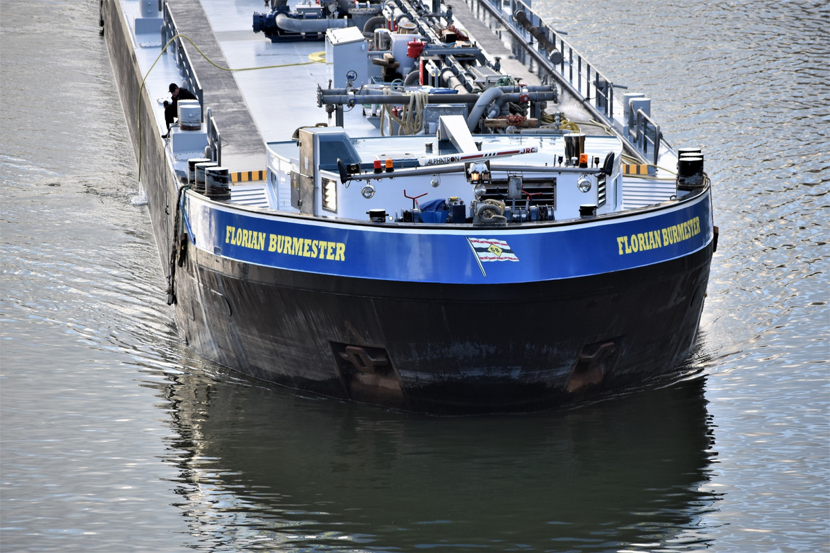 2022.01.17b1 Flor. Burmester (1940x1293)