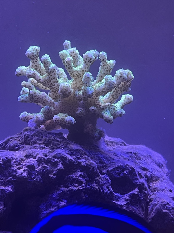 D436C577-1B26-43A9-9DD3-34D37FCF7E19