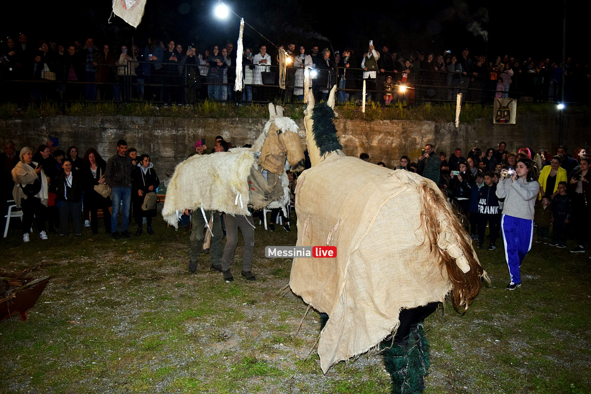 ελαιοχωριDSC_0666