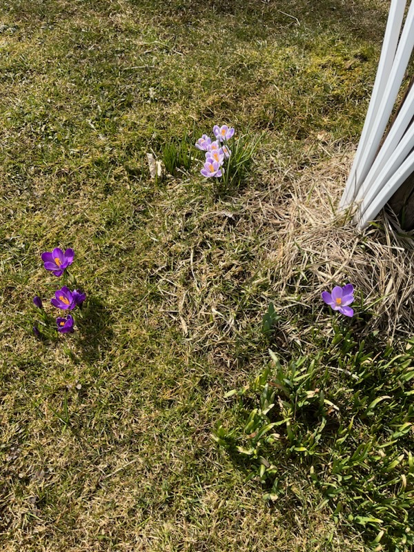 IMG_8020