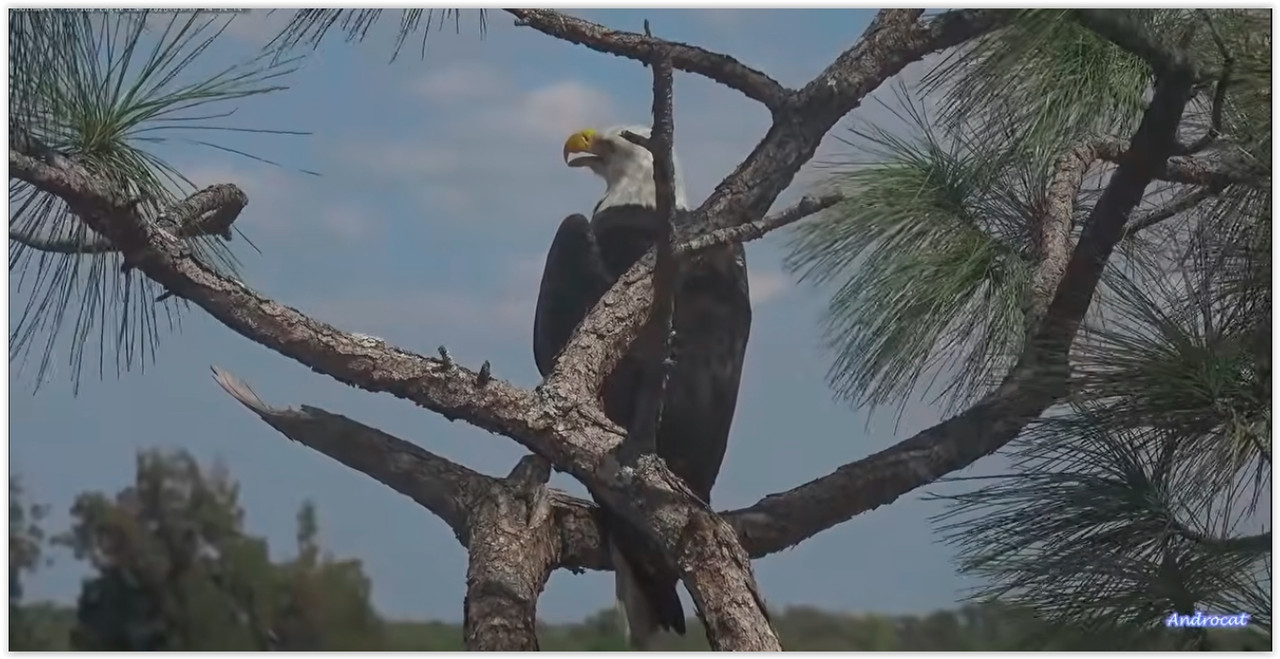 Screen Shot 03 13 26 at 08 46 AM 001