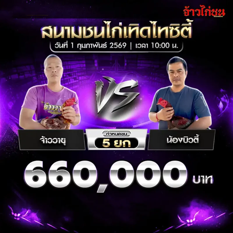 โปรแกรมไก่ชน คู่รอง จ้าวอายุ พบ น้องบัวตี้ ชิงเงิน 660,000 บาท