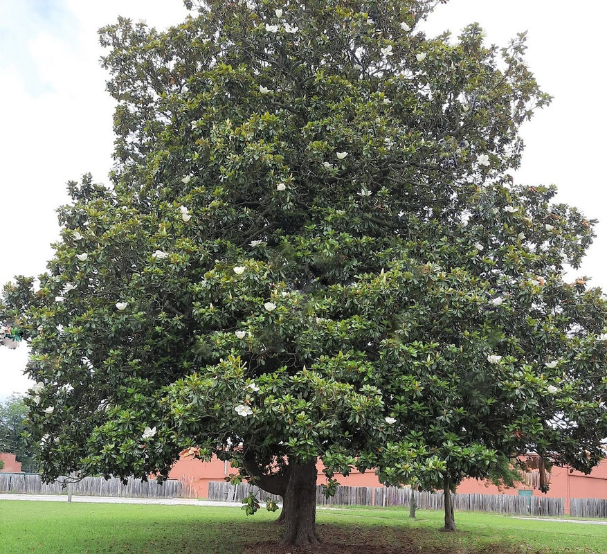 198973202_4004412766322485_4012835143849191504_n (3)