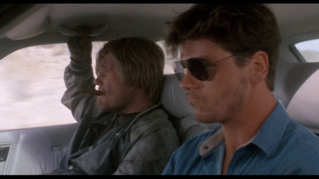 vlcsnap-2025-01-16-14h21m26s324