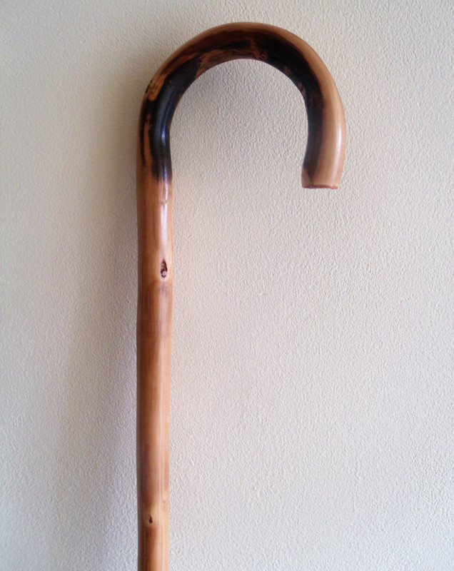 kids walking sticks