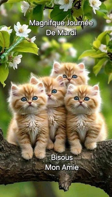 5e53f909f5baa5f546671f40cc8d7b48