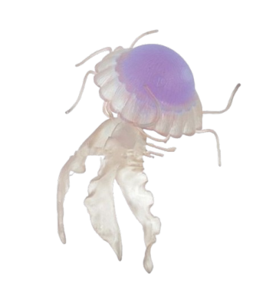 purple 10