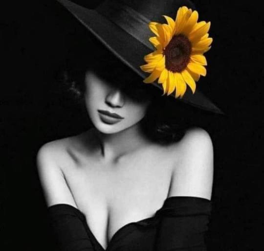 tumblr-d5c4340390b5f581ccb309cdee188712-53552682-540