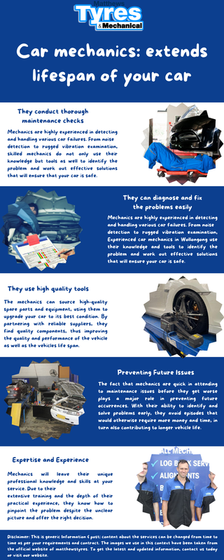 Car mechanics extends lifespan of your car Infographic