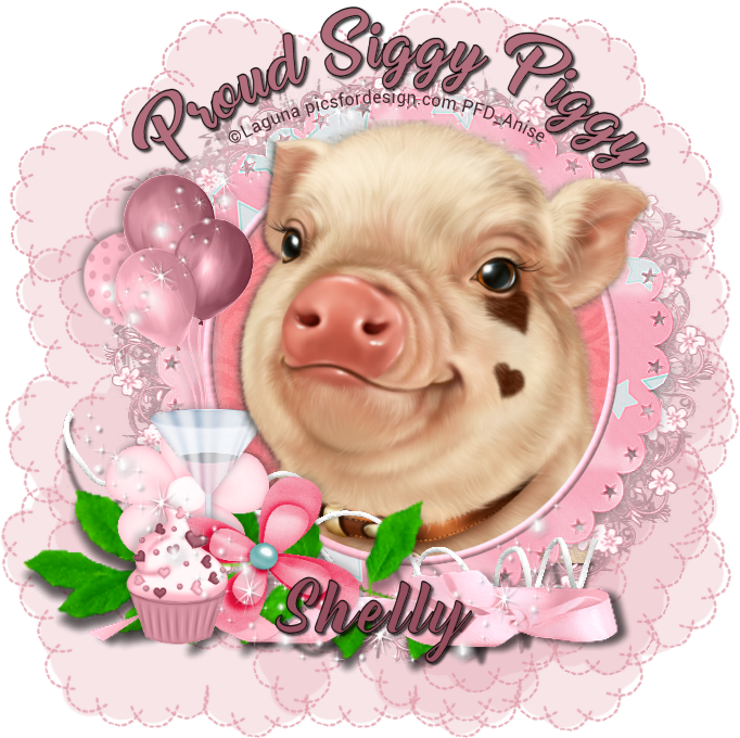 170405_150417_48634943_zpsu6svkqwe