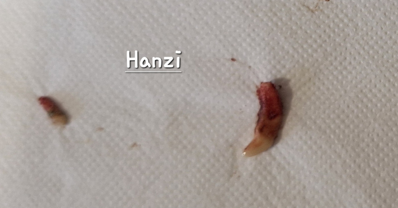 [Image: 20250819-180128.jpg]