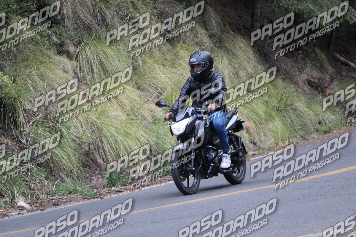 IMG_8991-wm-11271127.8_watermarked