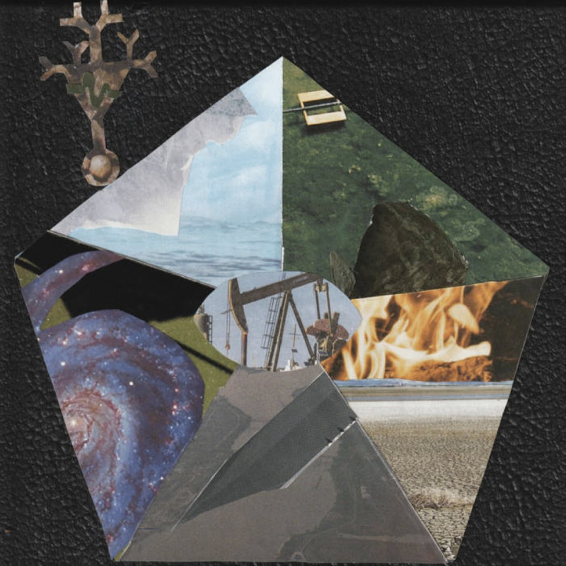 the cover of Staring at Yourself in Death’s Mirrored Face by pinko fibers