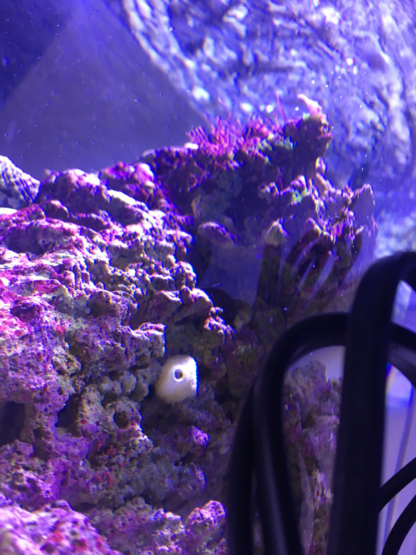 551DB403-FA70-4C51-B878-E9B29832274D