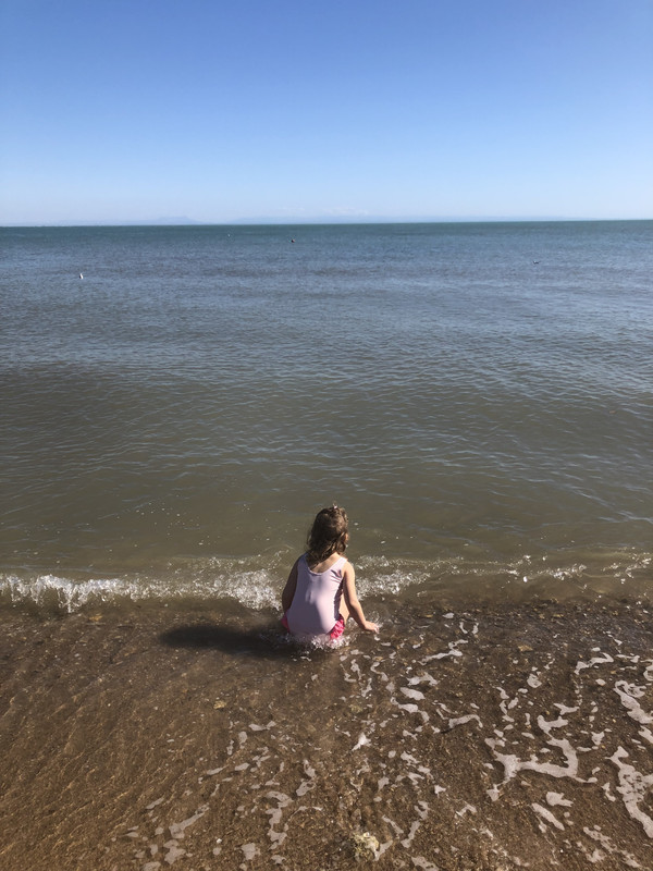 86D3B2E7-0B23-46F4-8470-17B057C3944F