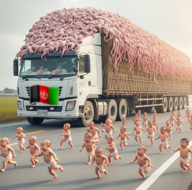 ۲۰۲۵۰۱۱۴_۱۹۴۵۲۰