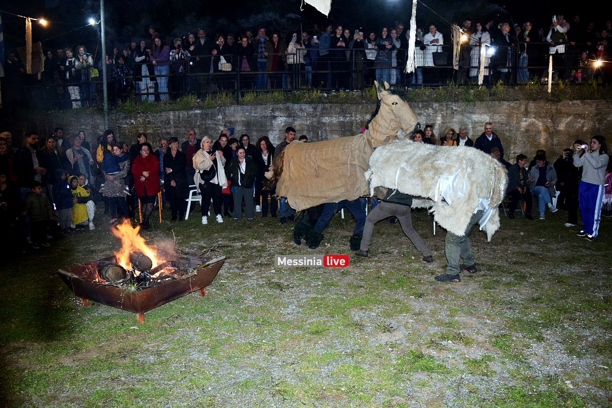 ελαιοχωριDSC_0667