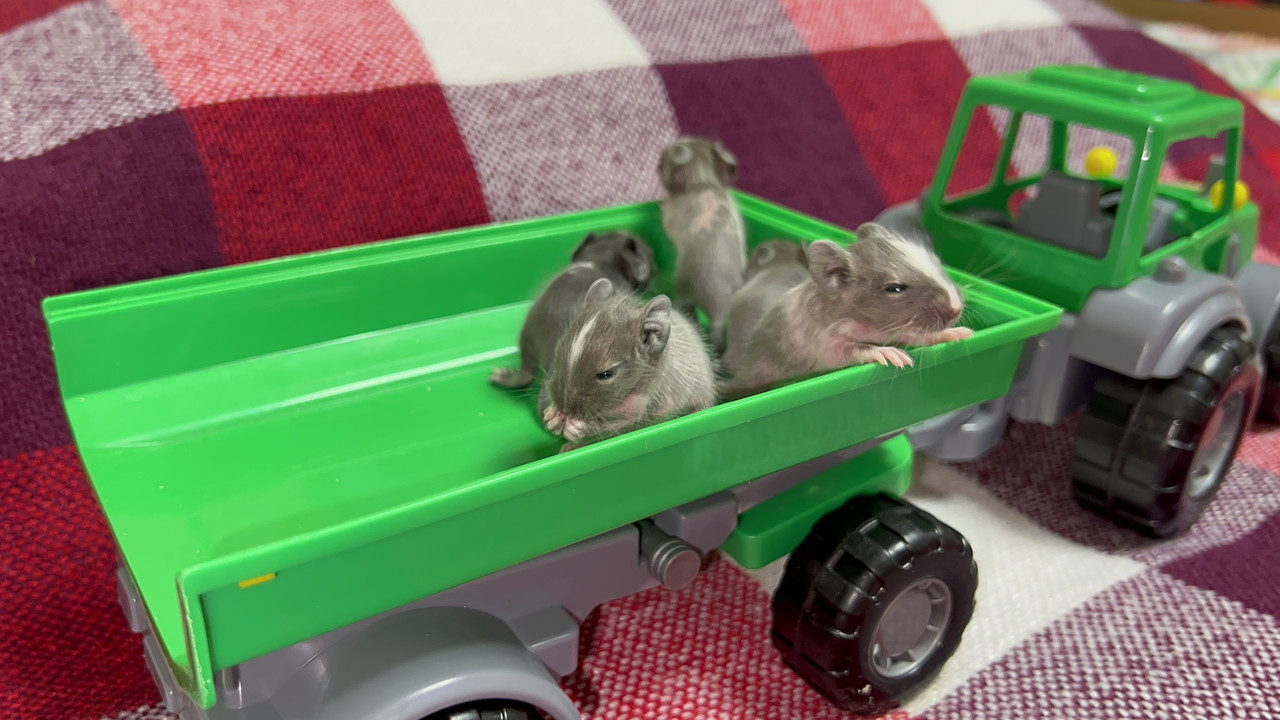 2ACB497B-21D0-41A7-9143-BB8A318A9197