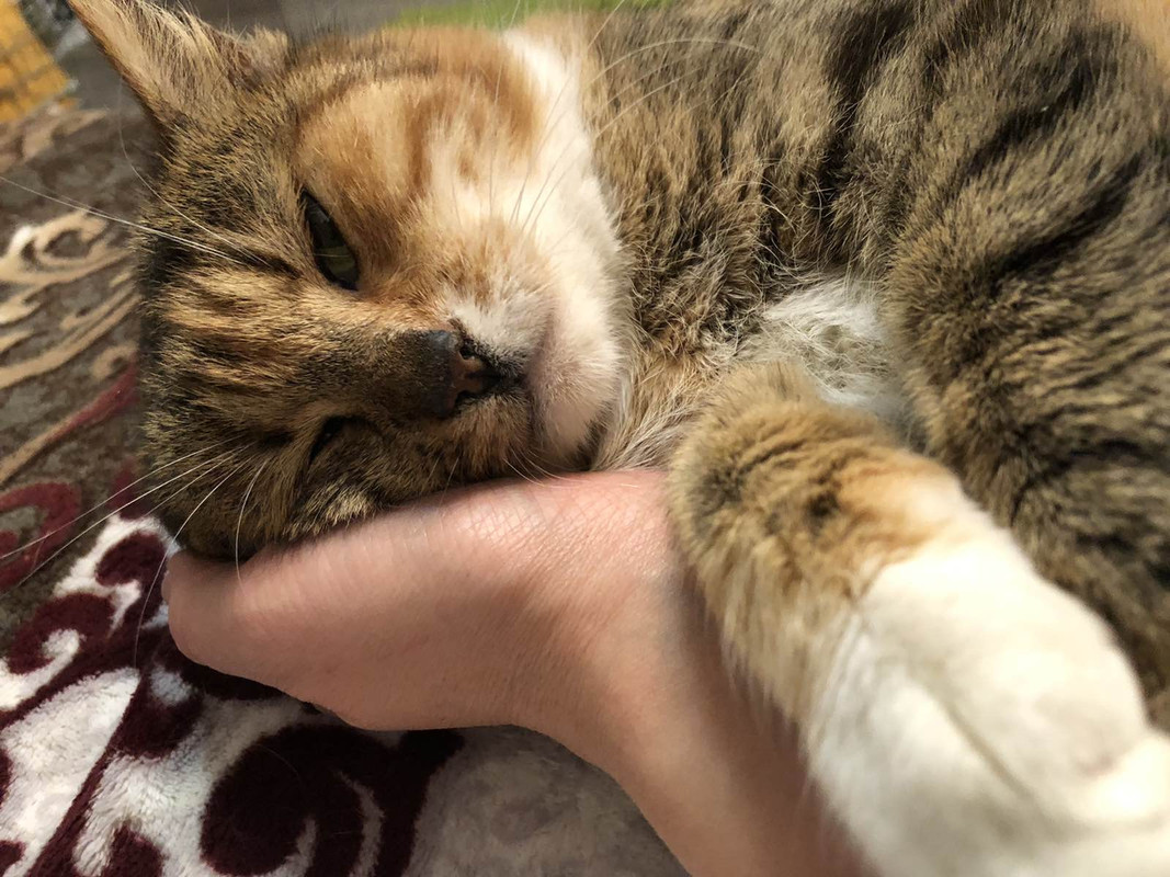 DD99661D-5652-4CC7-9EA8-388AC17FD5FF