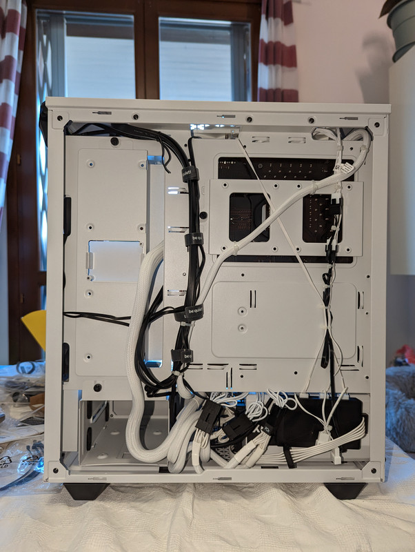 PXL_20230325_123435837