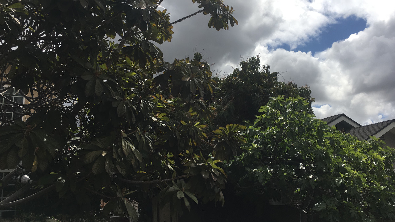 F84494D7-A5C0-4A98-AE51-77EB2BB25E8B