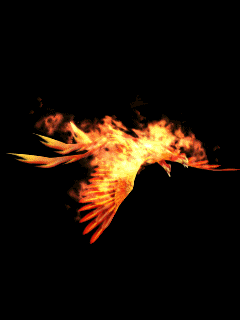 fireeagle