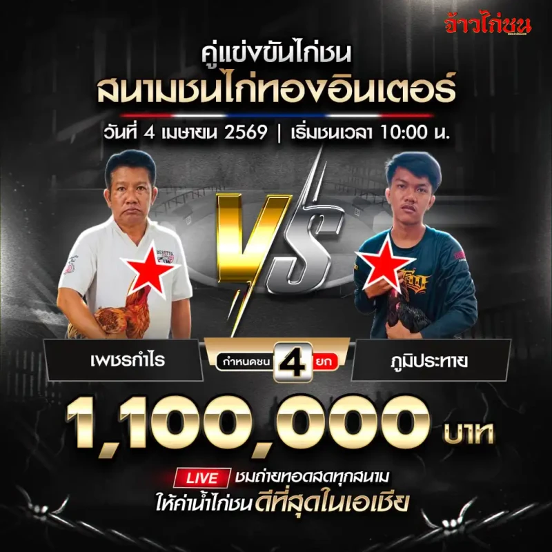 โปรแกรมไก่ชน เพชรกำไร vs ภูมิประทาย 4 เมษายน 2026
