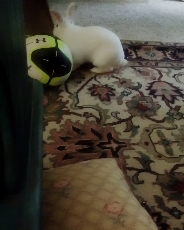 IMG_٢٠٢١٠٥٢٣_١٤٥٢٢٥