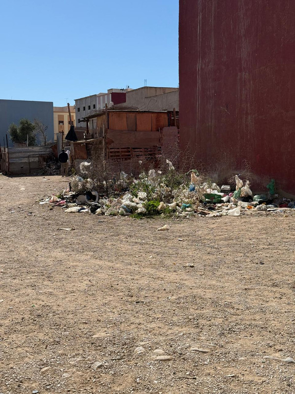 Whats-App-Image-2026-02-27-at-22-45-27-(1)