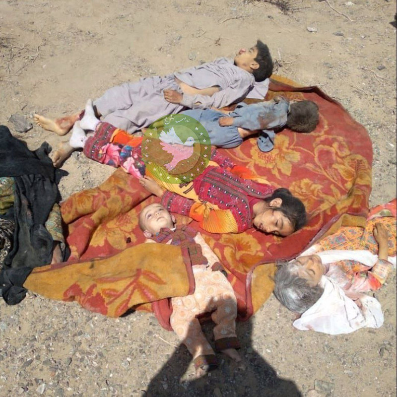 ۲۰۲۴۰۱۱۹_۰۰۴۹۰۶