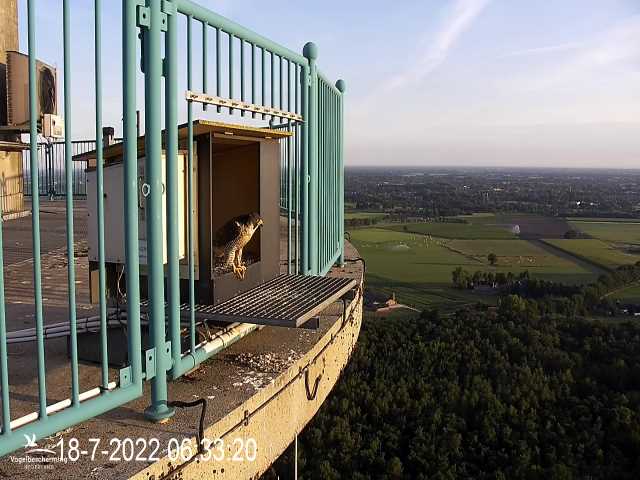 campics © VWGGemert vanaf 1 juli 2022 - Pagina 7 5