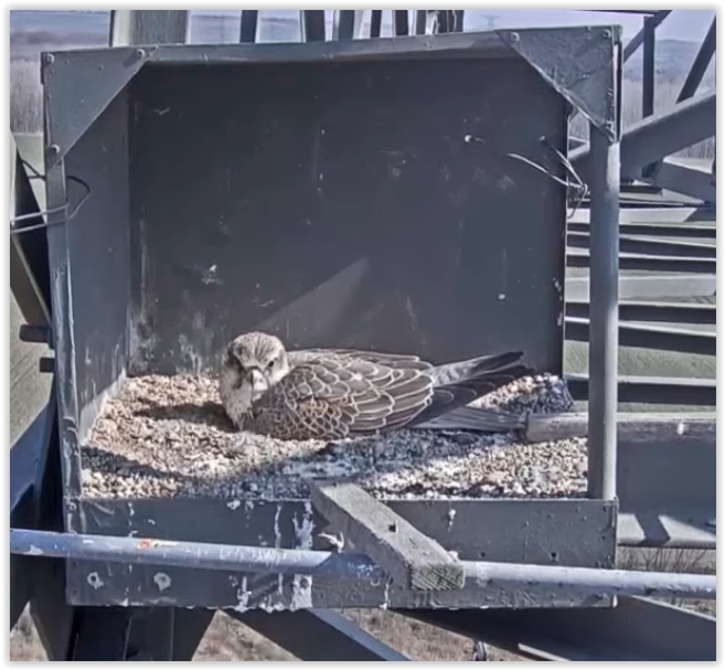 Screen Shot 03-26-22 at 09.43 AM