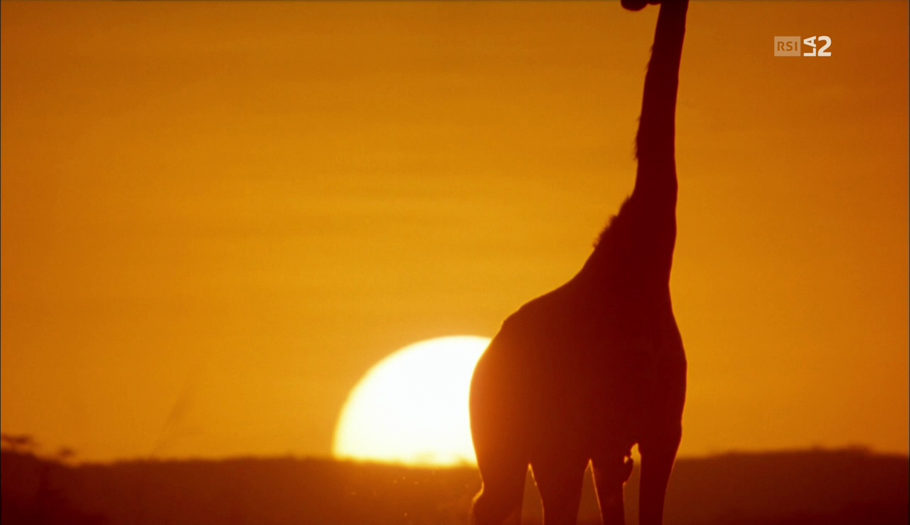 vlcsnap-2016-12-16-08h11m00s625