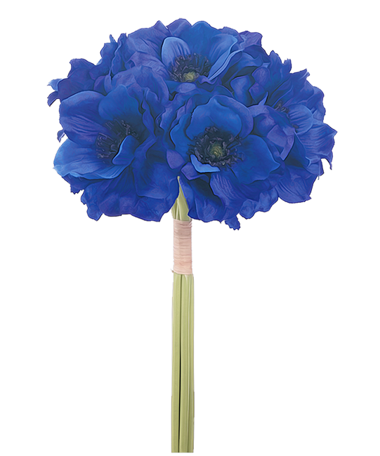 PeacockDreams_MM_Element (15)