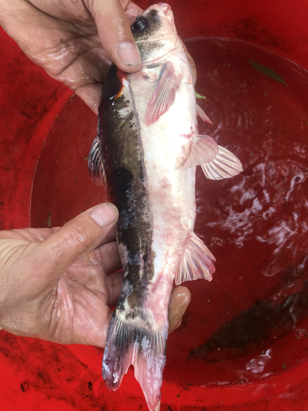 47F27F7B-03E4-4AE6-B787-0F7044897B87