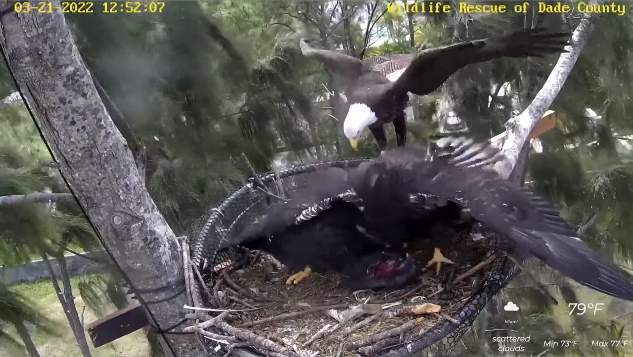 2C7EF5D4-FF2E-44B7-A09C-ED8651AEABB6