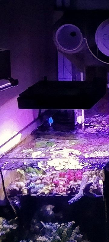 Screenshot 2026 01 28 22 17 08 31 965bbf4d18d205f782c6b8409c5773a4