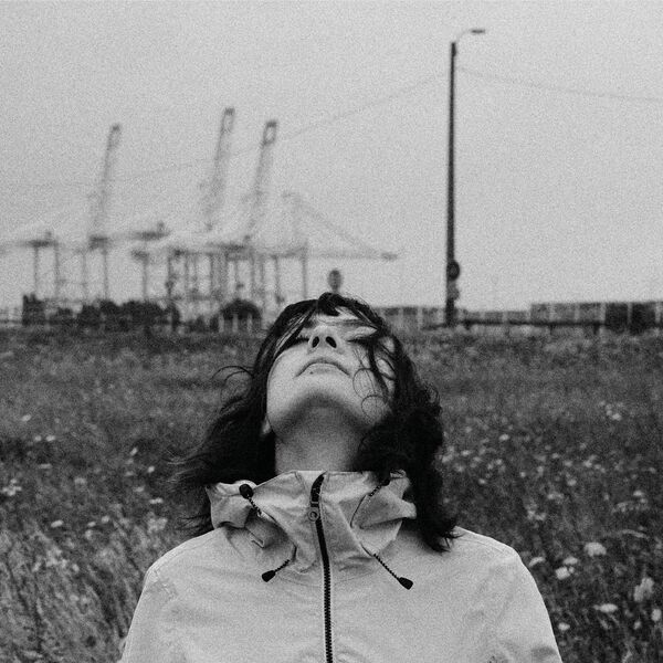 [Image: vpfdm500g7tg.jpg]