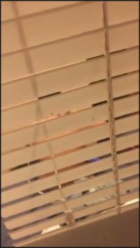 [Image: Voyeur27105095819.jpg]
