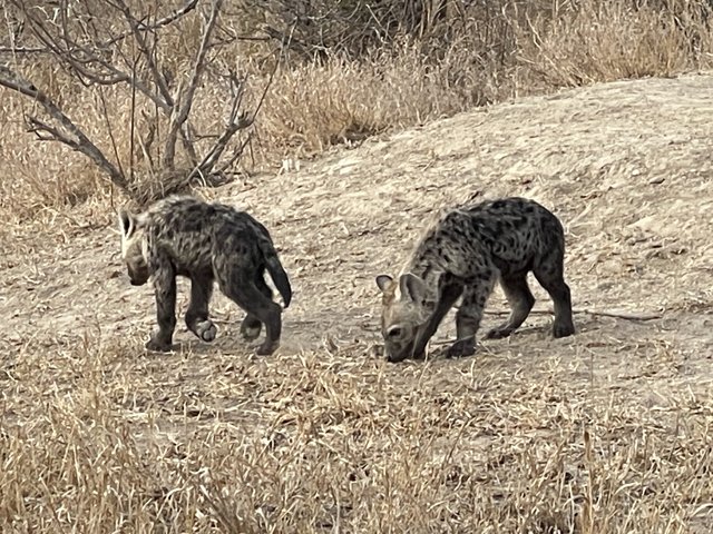 [Linked Image from i.postimg.cc]