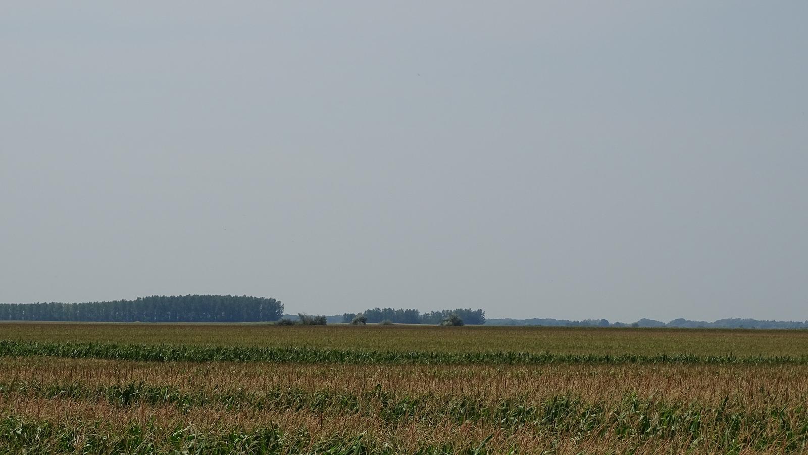 DSC01987.jpg