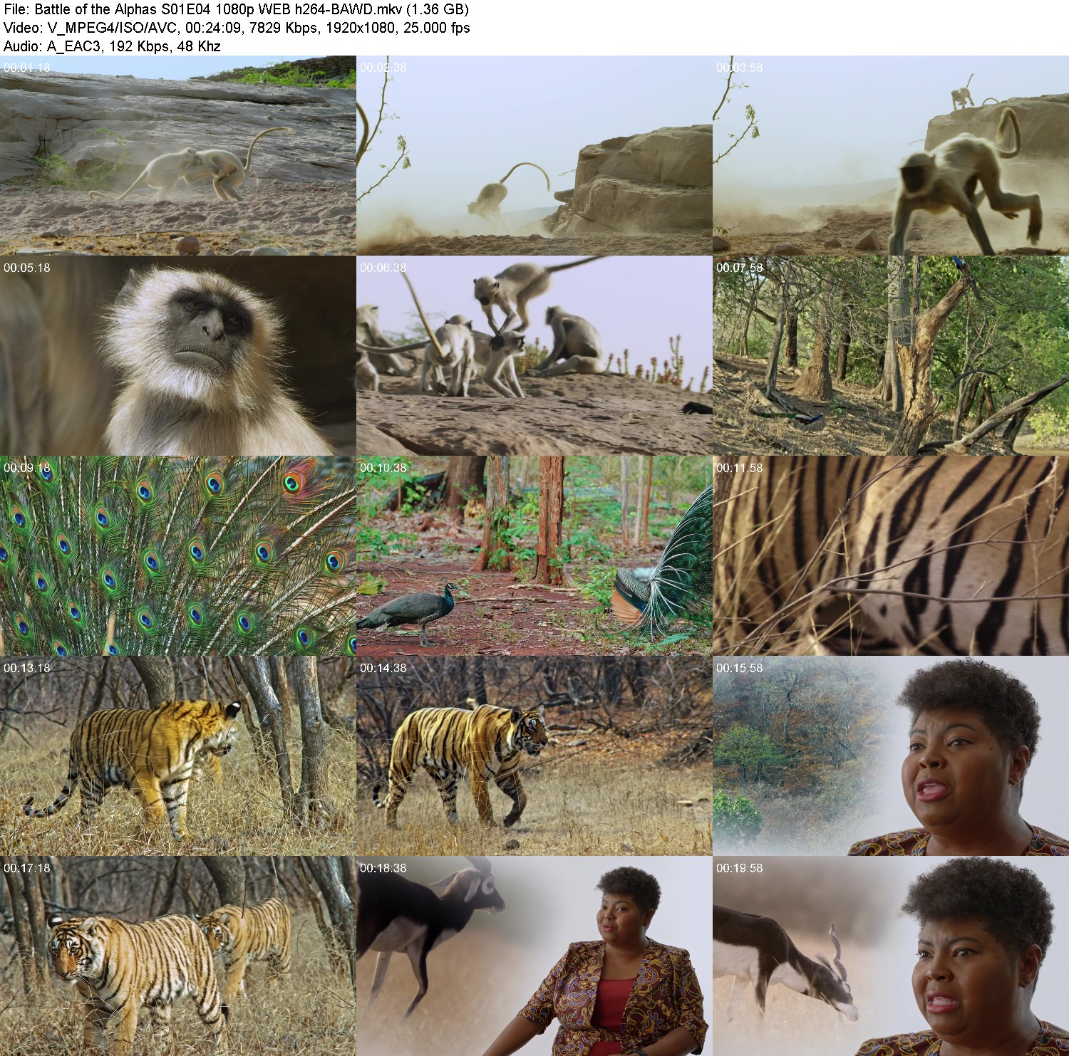 [Image: yb694nysw-wh7.jpg]