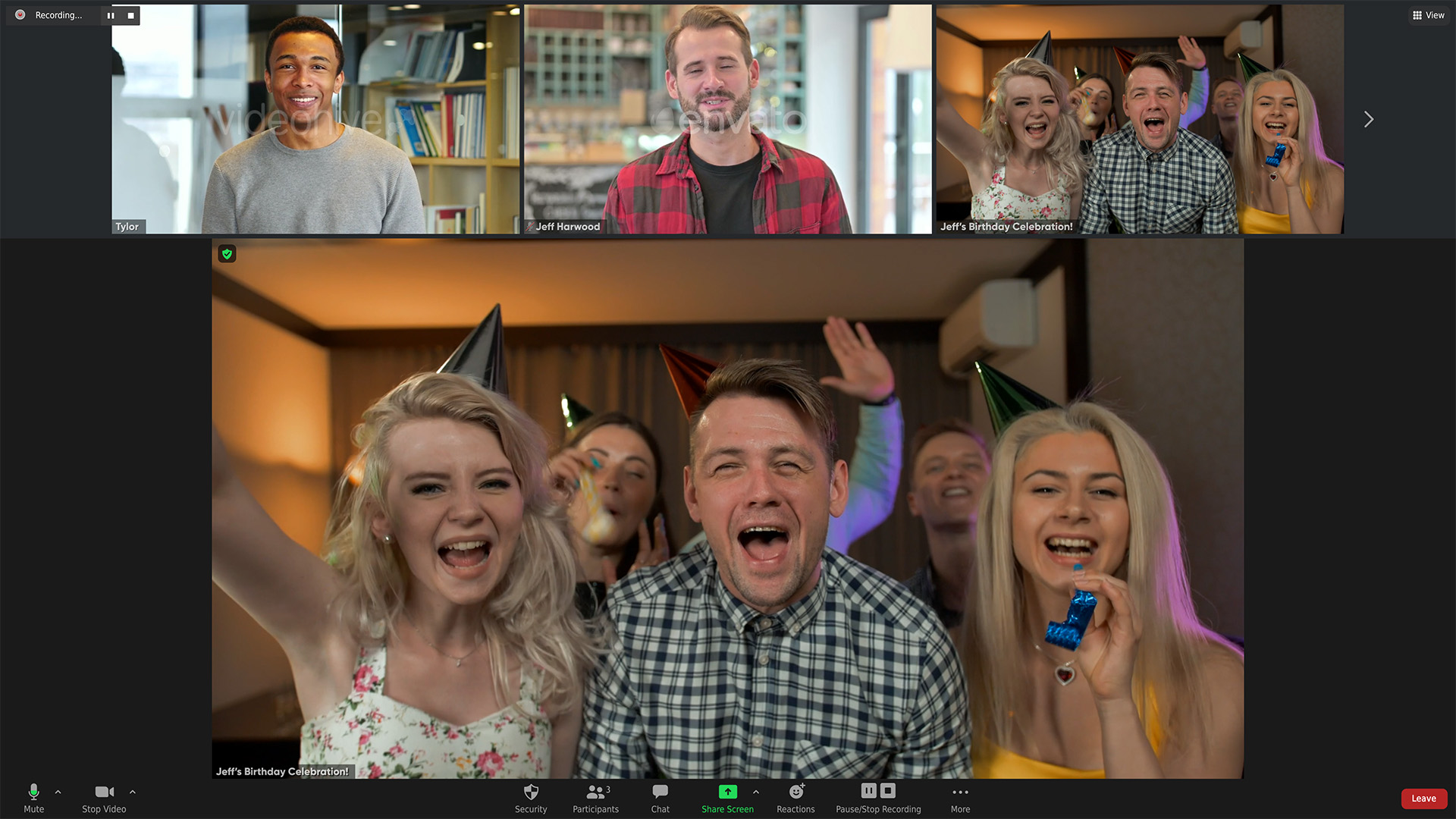 Zoom Views: Online Video Conference Toolkit - 21