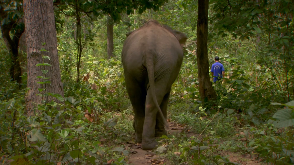 [Image: b32cmo88bray.png]