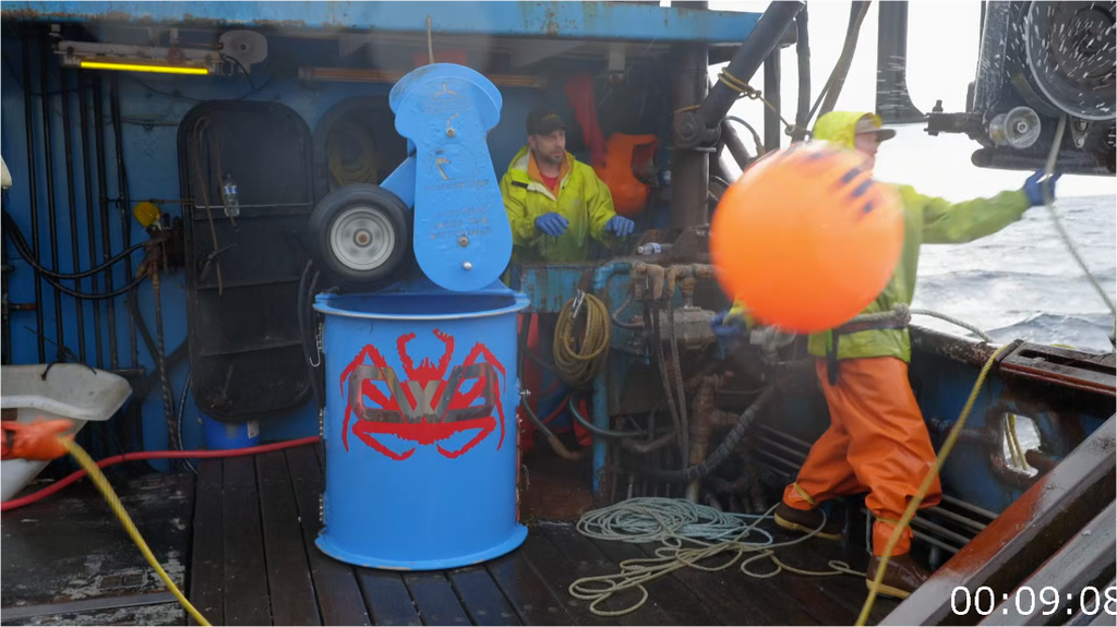 [Image: 3h6hk5lp5tle.png]