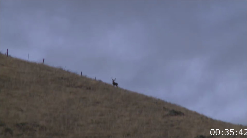 [Image: fpo9jw40hoj1.png]