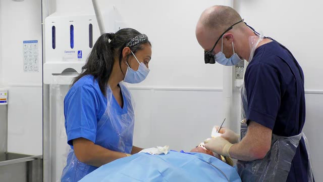 [Image: 14zo2rn4xvmo.png]