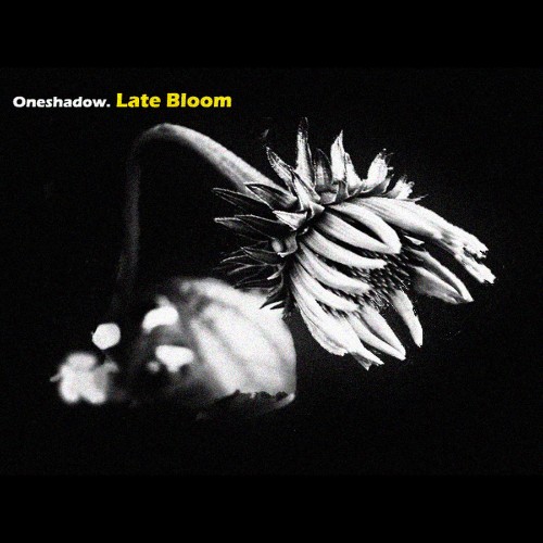 00-one-shadow-late-bloom-web-2026.jpg