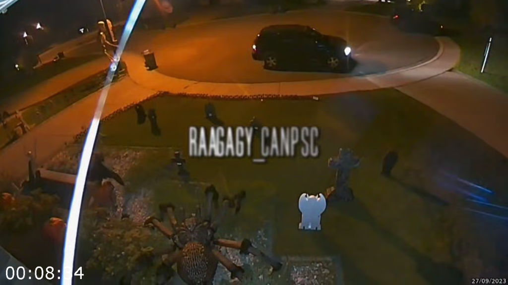 [Image: 73hsm3znbrw6.png]