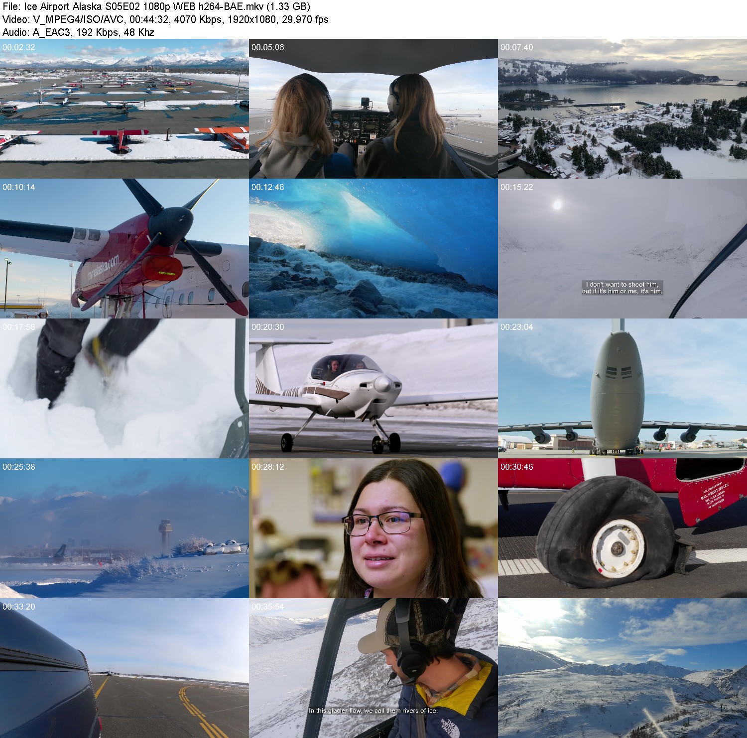 [Image: u54n9m0cjmsz.jpg]